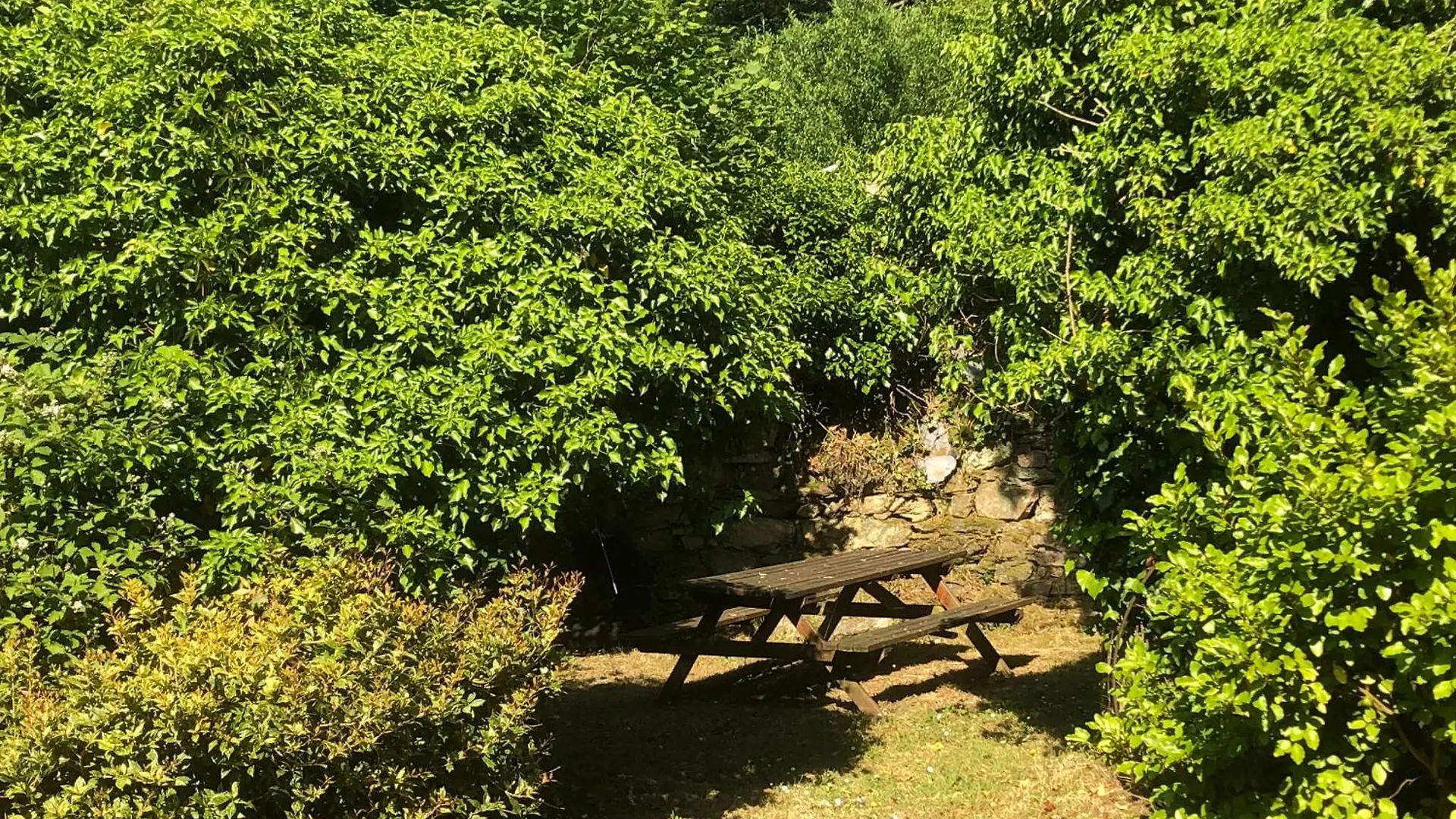 Farmyard At Kerespars, 3 Houses, Sleeps 30 With Pool Leuhan